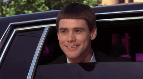 dumb and dumber memes|Dumb And Dumber GIFs .